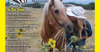 September 2012 Issue