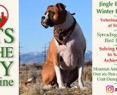 Pets in the City Magazine – December 2019